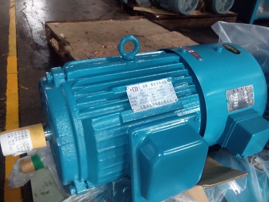 Drehmomentstarker Dreiphasenasynchronmotor 380V 50HZ mit H100 Roheisen-Rahmen
