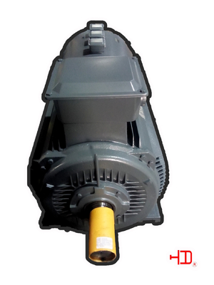Industrieller Inverter-Aufgaben-Motor 45KW 160KW elektrisch für Wasser-Pumpe Iec/GB